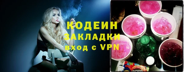 PSILOCYBIN Горняк