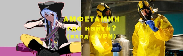 PSILOCYBIN Горняк