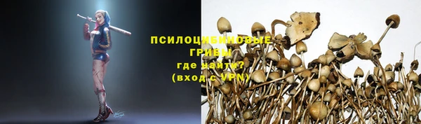 PSILOCYBIN Горняк