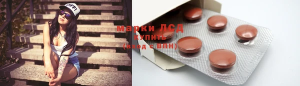 PSILOCYBIN Горняк