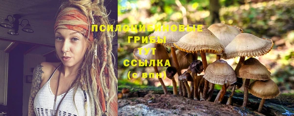 PSILOCYBIN Горняк