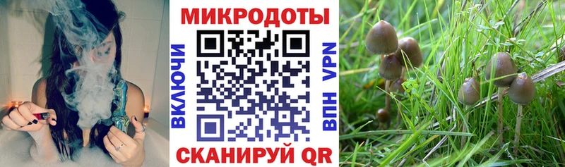 Купить где  Лениногорск  Псилоцибиновые грибы мухоморы 