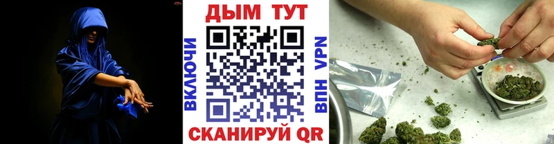 Конопля сатива Лениногорск